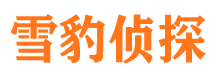 枫溪市侦探公司